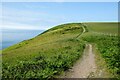 SN0040 : The Pembrokeshire Coast Path on Dinas Island by Jeff Buck