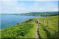 SN0140 : The Pembrokeshire Coast Path approaching Cwm-yr-Eglwys by Jeff Buck