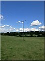 TQ1646 : Telegraph pole south of Dorking by P Harris