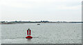 J2310 : Buoy, Carlingford Lough by Rossographer