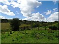 NZ1752 : Gateway on the path to Kyo Bogs by Robert Graham