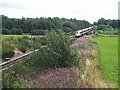 SE5630 : Azuma approaching Hambleton South Junction by Stephen Craven