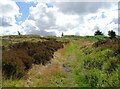 NZ1751 : Heathland at Kyo Bogs by Robert Graham