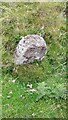 NZ0042 : Old Boundary Marker by the disused railway, north of Stanhope by Mike Rayner