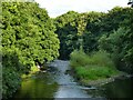 SE2236 : Island in the river Aire below Calverley old bridge by Stephen Craven