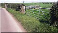 NY2851 : Gateway to fields on either side of Pow Beck south of Thornby by Roger Templeman