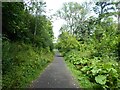 SJ8986 : Approaching Valley Road from Happy Valley by Kevin Waterhouse