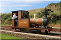 SC4278 : Groudle Glen Railway - Brown Bear by Chris Allen