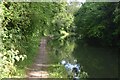 SP9511 : Grand Union Canal south of Tring station by David Martin