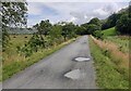 SH6818 : Mawddach Trail towards Penmaenpool by Mat Fascione