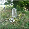 SX6594 : Old Wayside Cross at Moon's Cross junction south of South Tawton by Mr Red