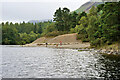 NY2519 : Derwent Shore at Brandelhow Bay by David Dixon