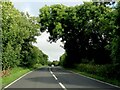 TV5498 : Seaford Road heading towards Eastbourne by Steve Daniels