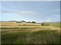 NS8938 : View across fields towards Drumalbin by Alan O'Dowd