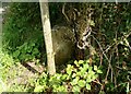 SD6376 : Old Roman Milestone / Boundary Marker, Woodman Lane, Cowan Bridge by Christopher Leather