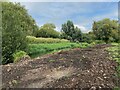 SJ9322 : River Sow east of Stafford by Robin Stott