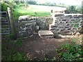 SO5602 : Stone Stile, Hewelsfield by Mr Red