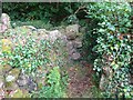 SO5903 : Stone Stile, Aylburton by Mr Red