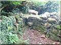 SO5903 : Stone Stile, Aylburton by Mr Red