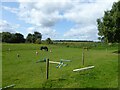 SJ7396 : Horse paddock by Kevin Waterhouse