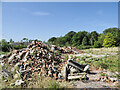 NY1469 : Rubble of building at Kelhead by Trevor Littlewood