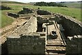 NY7968 : Housesteads Roman Fort by Philip Halling