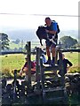 SK0066 : A ladder stile too steep for an elderly dog by Graham Hogg