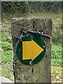 SH6268 : Footpath waymark disc, Llanllechid by Meirion