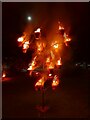 SU4767 : Tree of fire: Newbury Ablaze 2024 by Oscar Taylor