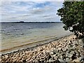 SK9006 : Shoreline at Rutland Water by Mat Fascione