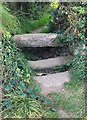 SW6544 : Stone Stile, Portreath by Matthew Hatton