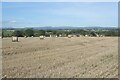 SS9473 : Arable farmland, Llandow by eswales