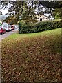 ST3091 : Dead leaves on grass alongside Russell Drive, Malpas, Newport by Jaggery