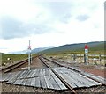 NN3566 : Looking north from Corrour by Gerald England