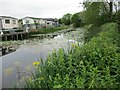 TA0945 : Properties  on  Sandholme  Park  alongside  Leven  Canal by Martin Dawes