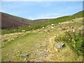 NY3232 : The Cumbria Way near Carrock Mine by Adrian Taylor