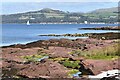 NS1759 : Old red sandstone shore at Wine Bay by David Martin