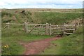 SM8011 : Gates on path above The Falls by M J Roscoe