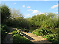 SZ0996 : Autumn shadows on the Stour Valley Way, near Bournemouth by Malc McDonald