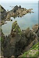 SX6444 : Herring Cove, Burgh Island by Derek Harper