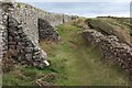 SM7910 : Stone walls at top of coastal slope by M J Roscoe