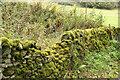 SK2276 : Dry stone wall by Richard Croft