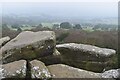 SE2064 : Brimham Rocks: view over Lover's Leap by David Martin