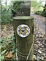 SH6266 : Llwybr Llechi Eryri / Snowdonia Slate Trail waymark disc, Bethesda by Meirion