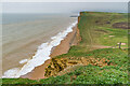 SY4789 : East Cliff by Ian Capper