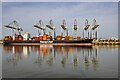 TQ7281 : London Gateway Port by Christine Matthews