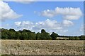 TL9870 : Langham, Holeywall Lane: Harvested field by Michael Garlick