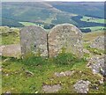 SO2126 : Two Old Boundary Markers north of Pen Twyn Glas by J Fidler