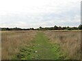 TF6833 : Path south of Snettisham by Matthew Chadwick