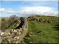 NY6766 : Hadrian's Wall on Walltown Crags by Adrian Taylor